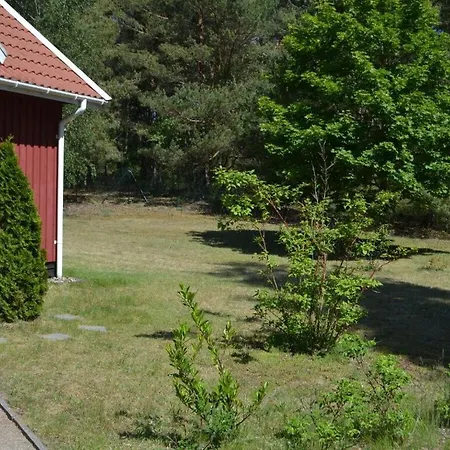Vogelsang * Userin